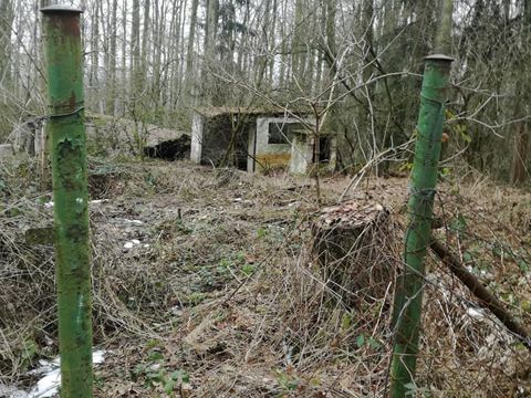 Foto 11